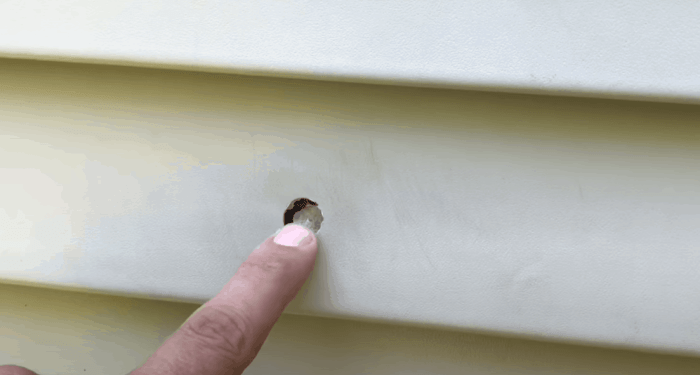 How To Repair Holes In Your Vinyl Siding: Quick and Easy Fixes